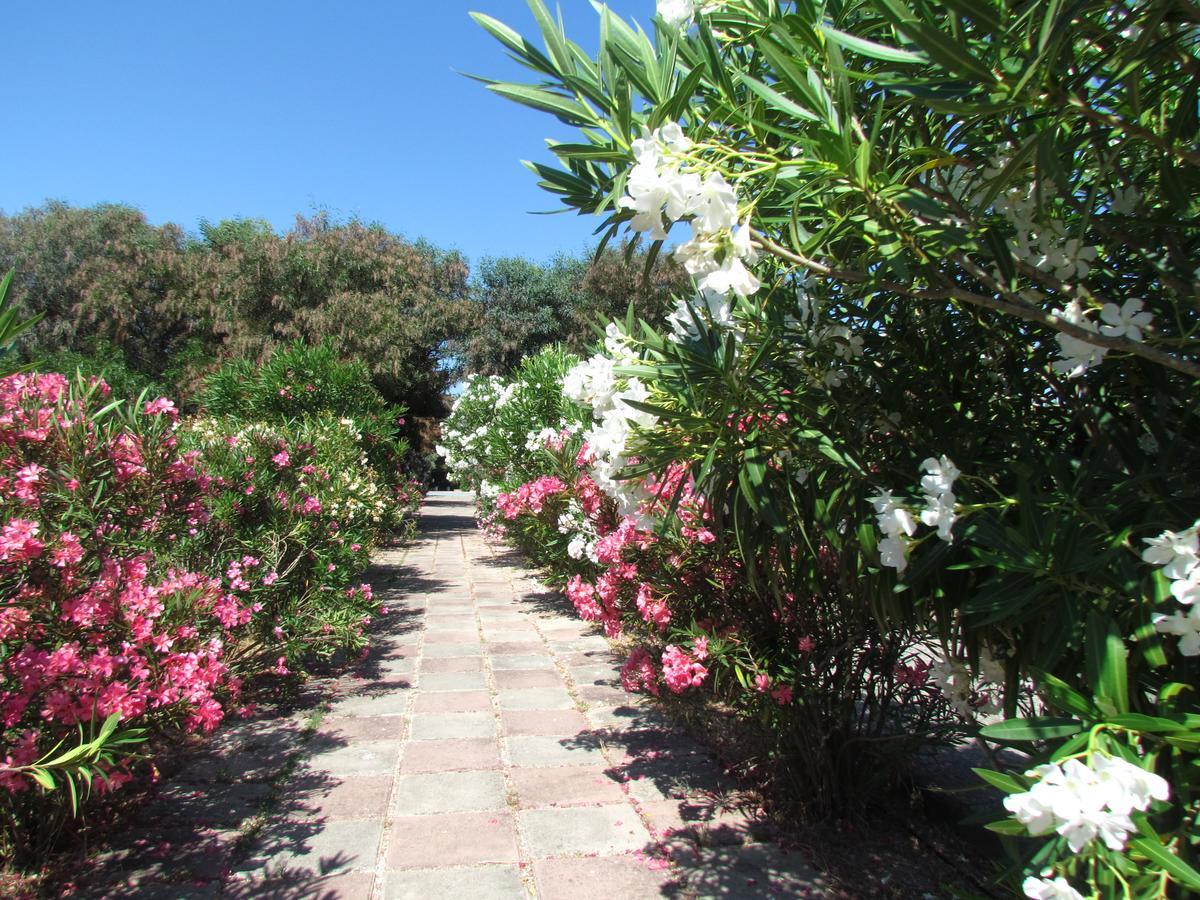 Camping Baia Paradiso Badesi Exteriér fotografie